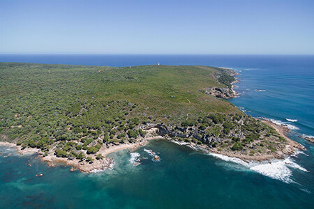 South West Cape to Cape Scenic Helicopter Flight